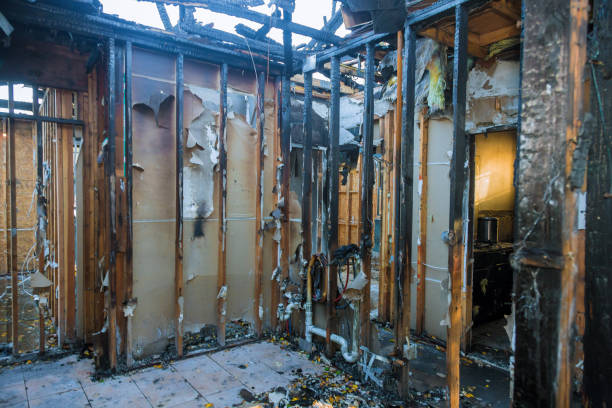 Professional Fire Damage Repair technician working in Venice, FL