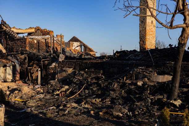 Reliable Fire Damage Repair contractor in Venice, FL by Fire Damage Doption