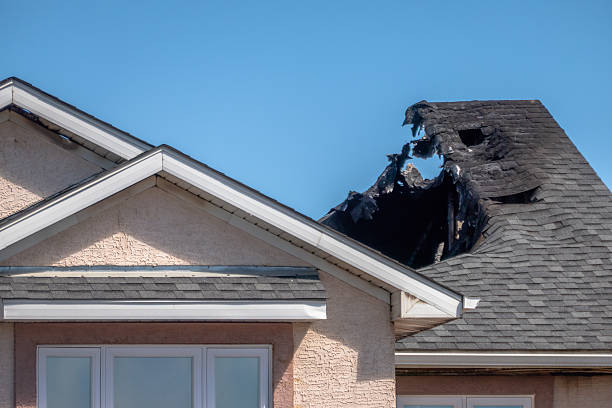 Top rated local Fire Damage Repair specialists in Venice, FL